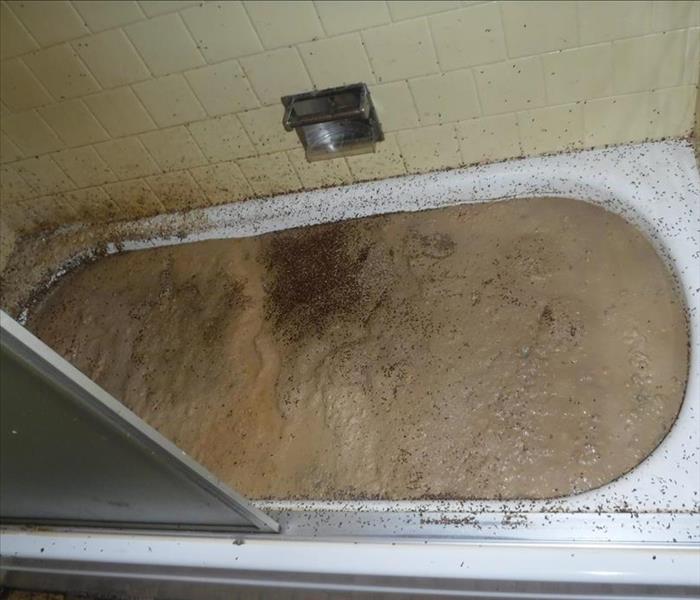 Before Image shows a bathtub full of feces and muck