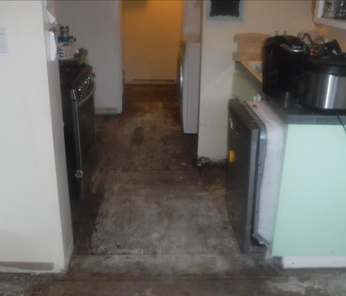 Tile Flooring Removed and Wet Wooden Sub Floor Exposed