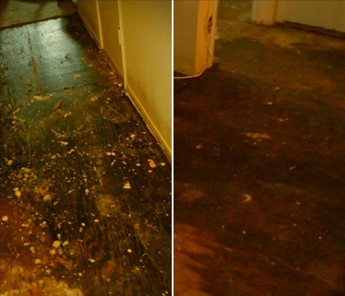 Water damaged floors