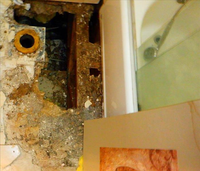 Mold found in bathroom