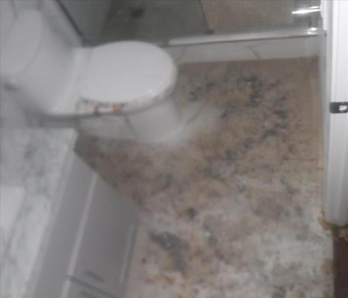 Photo shows a bathroom with a toilet over flow water loss
